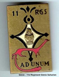 Genie 11e Regiment saharien